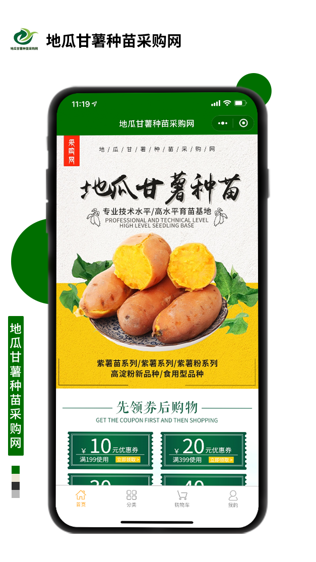 地瓜甘薯種苗采購網(wǎng)