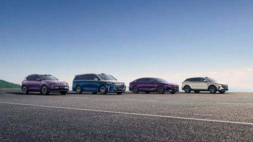 嵐圖汽車謀變 產(chǎn)品與技術(shù)雙輪驅(qū)動，沖刺港股奔赴新戰(zhàn)場